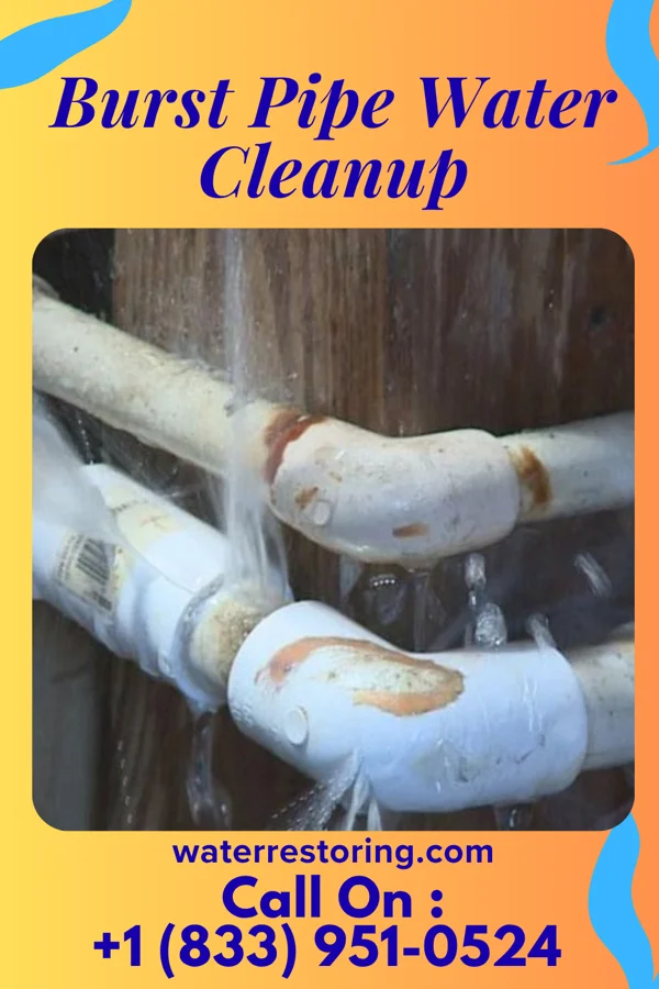 Burst Pipe Water Cleanup in Daisy, GA