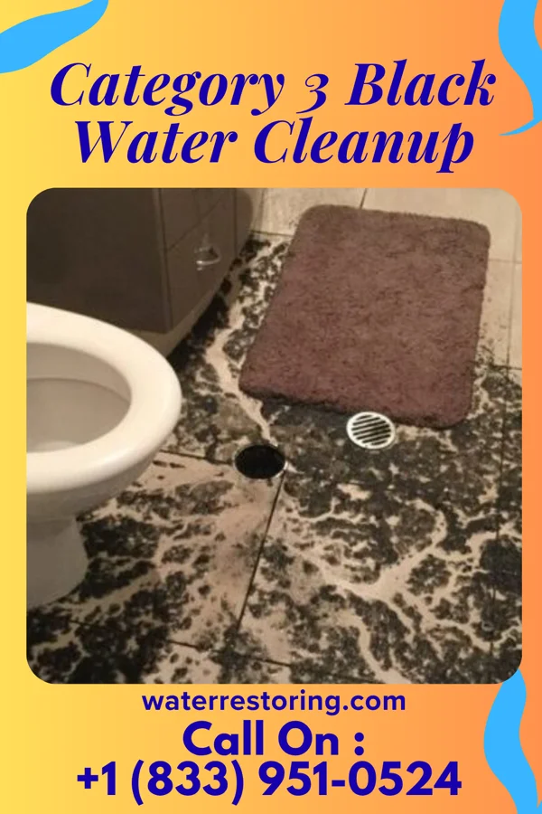 Category 3 Black Water Cleanup in Daisy, GA